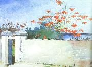 Winslow Homer A Wall, Nassau oil